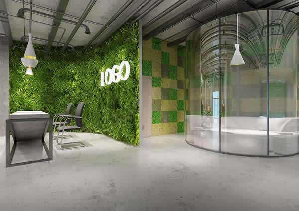 办公室装修中绿植盆栽该如何选择